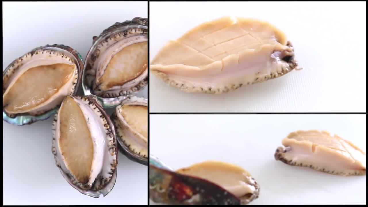 好肥好美好白的鲍鱼