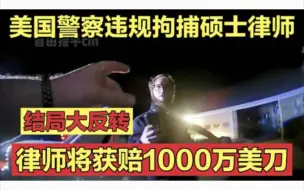 Download Video: 美国警察强行拘捕顶级律师，结局大反转，赔偿高达1000万美刀