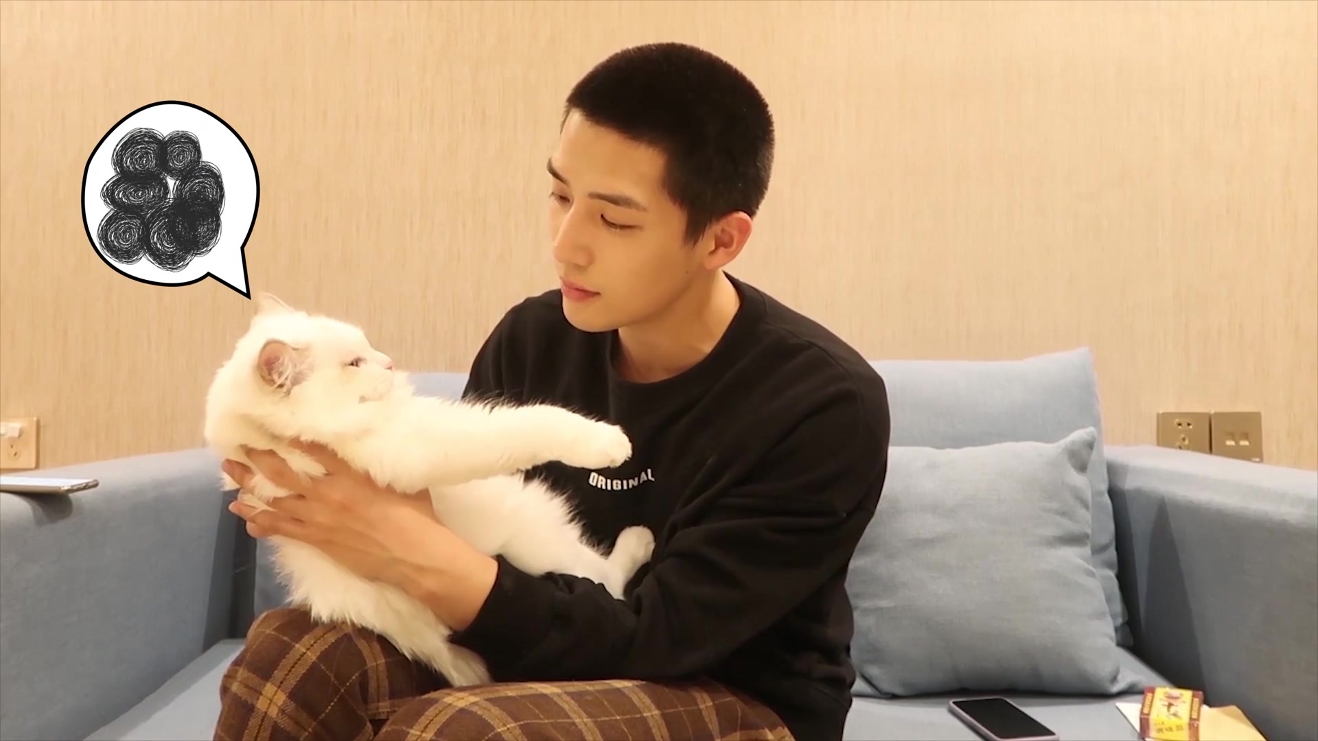 王安宇的土味情话梦回经典台词再现