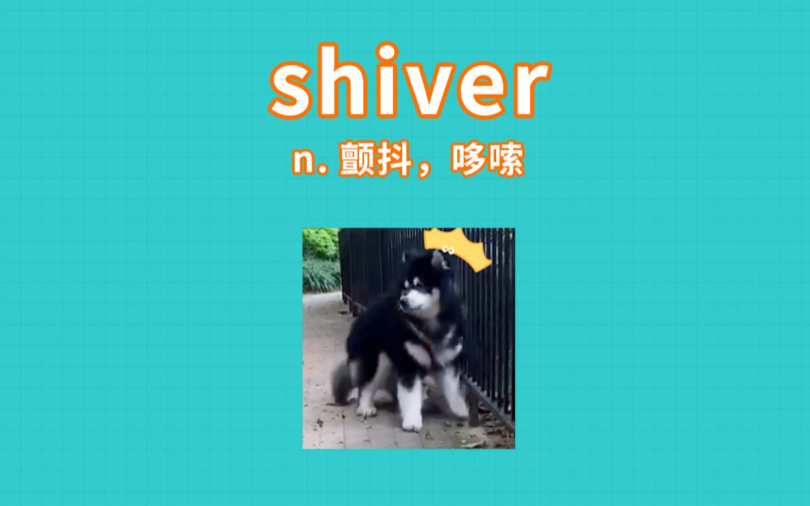 shiver我不是害怕,只是有点想哆嗦哔哩哔哩bilibili