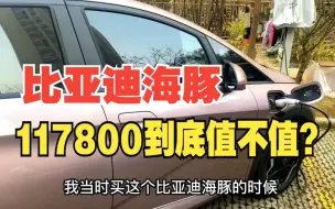 比亚迪海豚卖到117800元，买这个车就是“冤大头”？