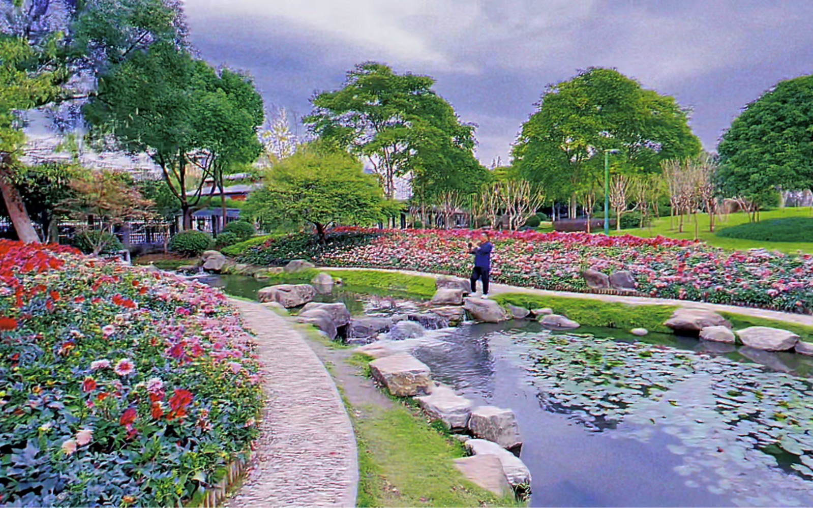 宁波日湖公园视觉大片来了,高质量视频,大家决不能错哦