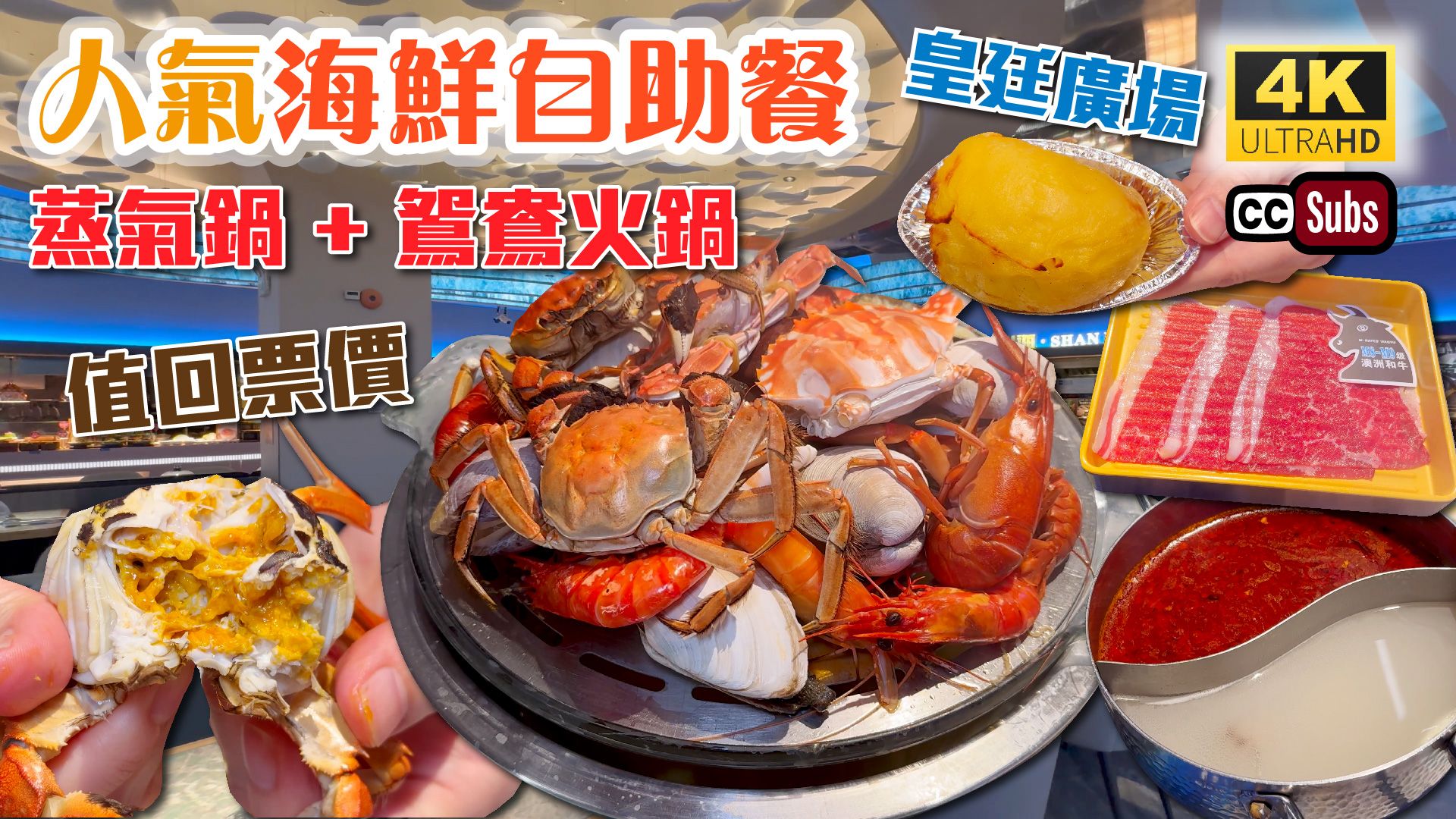 深圳活海鲜自助餐 | 皇廷广场新店𐟔奿…食 | 蒸气锅 + 鸳鸯火锅 | 优质活海鲜 | 大闸蟹 | 澳洲小龙虾 | 鲍鱼 | 九折虾虾 | M8和牛 | 烤榴哔哩哔哩bilibili