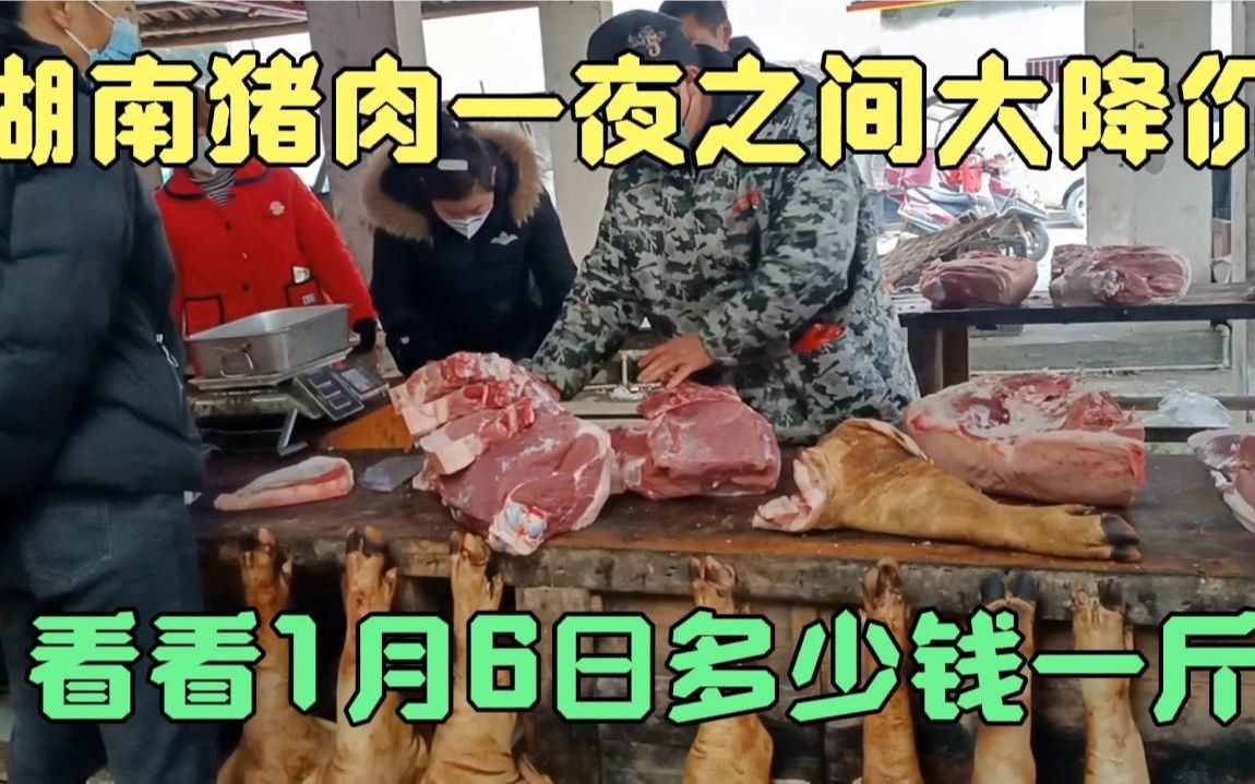 湖南猪肉一夜之间大跌价,看看1月6日多少钱一斤?简直太便宜了哔哩哔哩bilibili