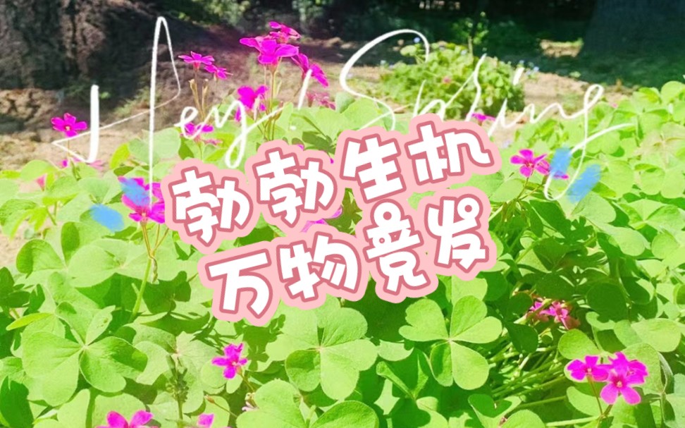 勃勃生机万物竞发嘻嘻