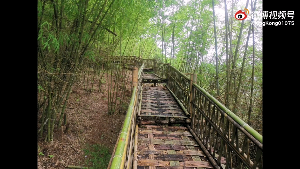 [图]沧源佤族自治县班洪乡芒库村上芒冷山竹林栈道野象观察点