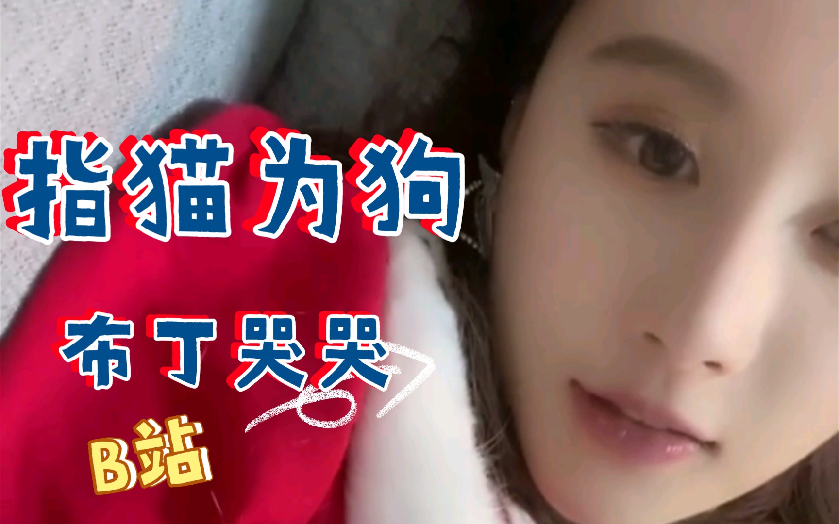 【段艺璇】指猫为狗,布丁竟然变成了狗狗这是为哪般!