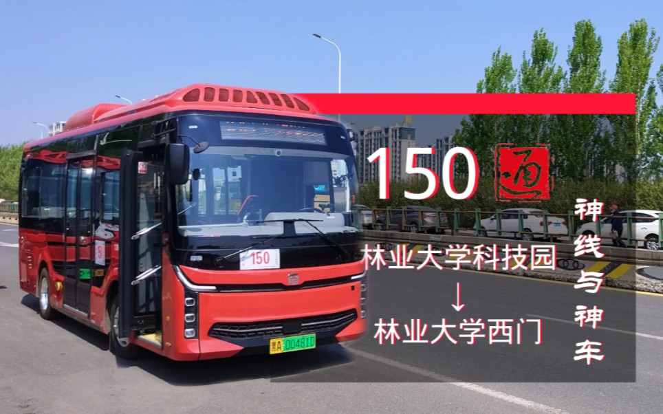 【哈市神线·可爱初夏】哈尔滨公交150路(林业大学科技园→林业大学