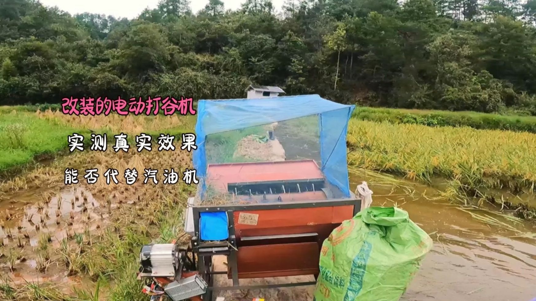 改装的电动打谷机,今天来打谷子测试真实效果,看能不能代替汽油机呢?