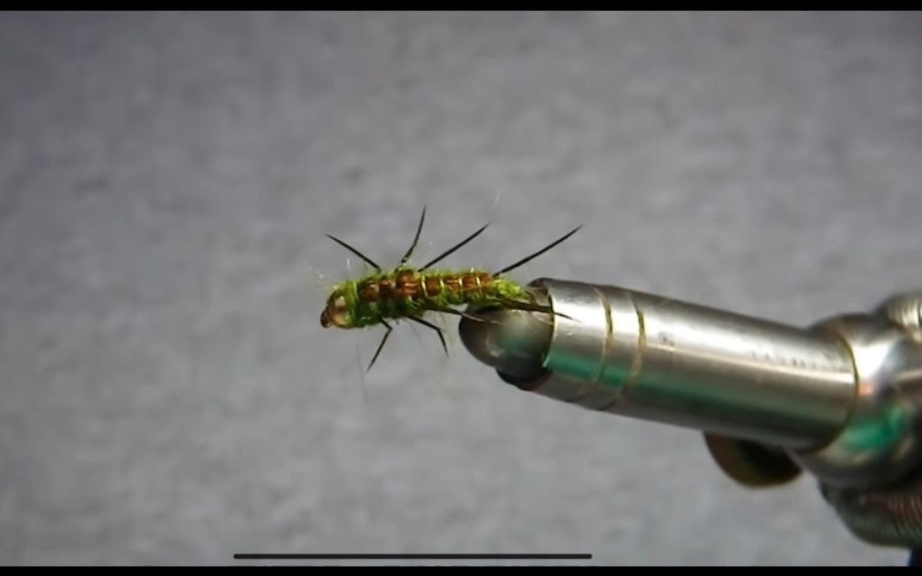 [图]olive stonefly flytying(by gyorfi zsolt)