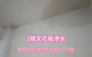 Télécharger la video: 2楼天花板渗水，是3楼暗装给水管破损，房东选了1个花小钱的方案