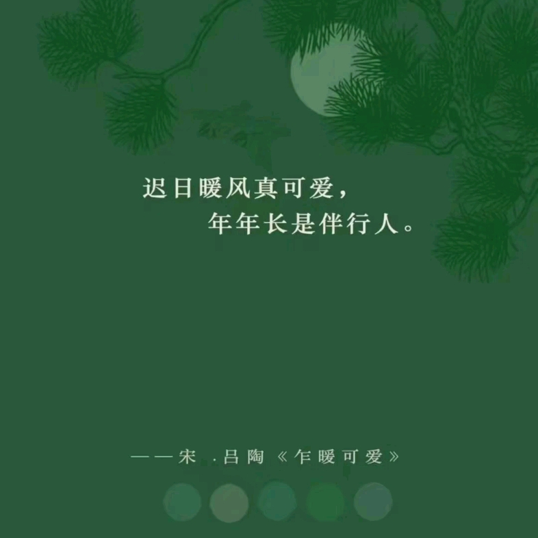 乍暖可爱的小众诗词哔哩哔哩bilibili