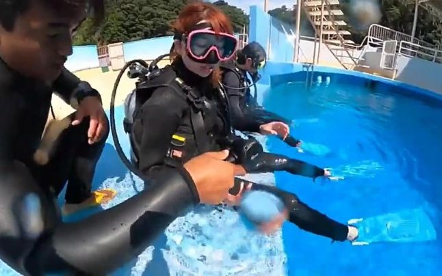 [图]小姐姐潜水员水族馆潜水玩耍