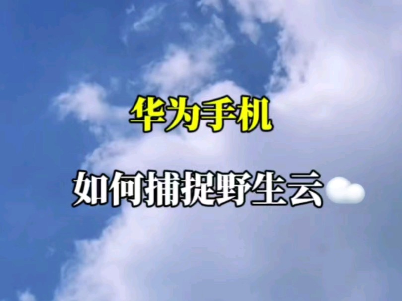 华为相册里的云彩面包