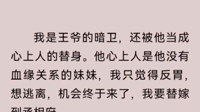 [图]我是王爷的暗卫，还被他当成心上人的替身。他心上人是他没有血缘关系的妹妹，我只觉得反胃，想逃离，机会终于来了，我要替嫁到丞相府。