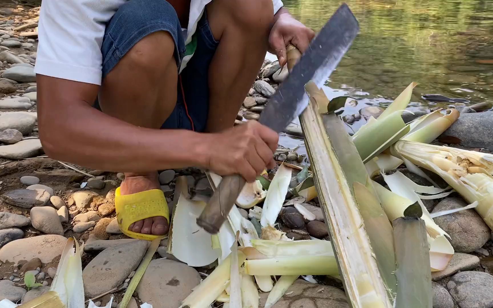 我想吃竹笋虫，我又来找竹笋虫了哦
