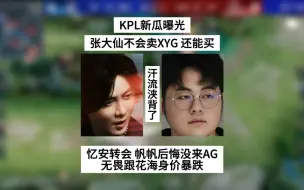 Download Video: KPL新瓜曝光，张大仙不卖战队，忆安找队伍转会，帆帆后悔没来AG，无畏跟花海身价暴跌