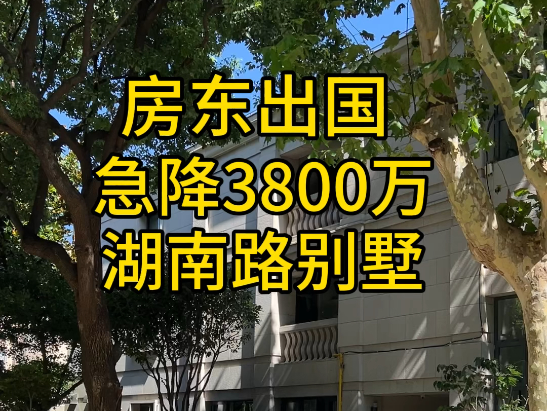 房东出国 急降3800万 湖南路别墅#兰庭#叠加别墅#上海别墅#上海买房#柳哥看房哔哩哔哩bilibili