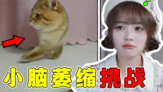 我真的没时间陪你们闹了！