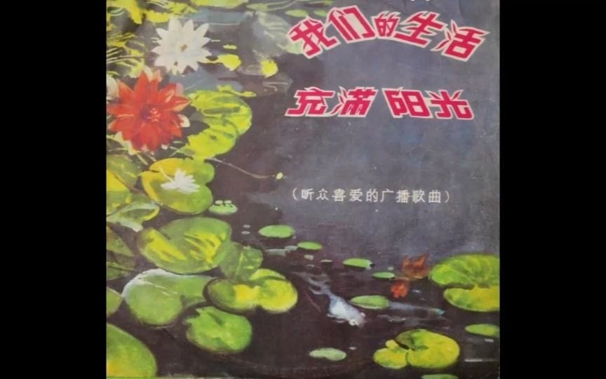 怀旧老唱片《我们的生活充满阳光》1980版哔哩哔哩bilibili