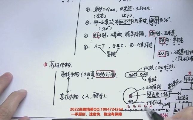 RNA小总结哔哩哔哩bilibili