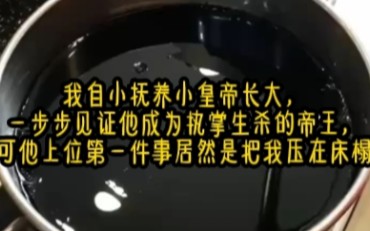 《墨白惹火》我自小抚养小皇帝长大,一步步见证他成为执掌生杀的帝王,可他上位第一件事居然是把我压在床榻.哔哩哔哩bilibili