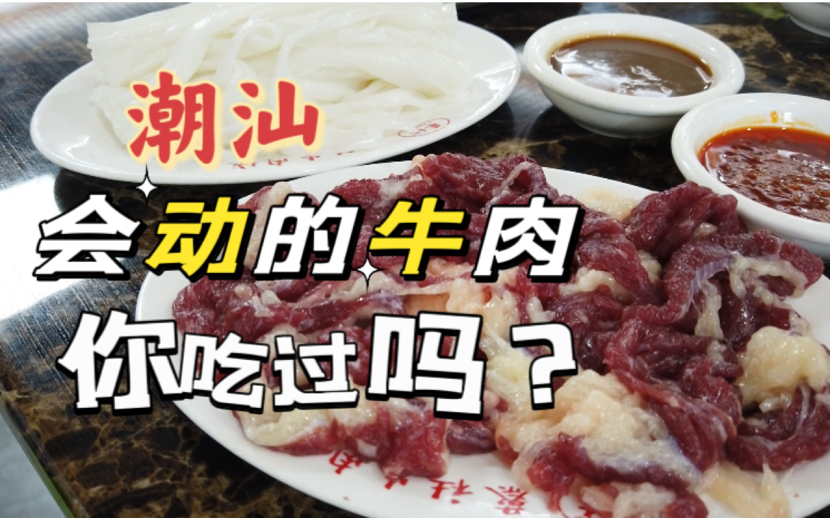 发现了一家宝藏牛肉火锅|汕头美食哔哩哔哩bilibili