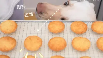 Tải video: 成为UP主的第728天的食谱