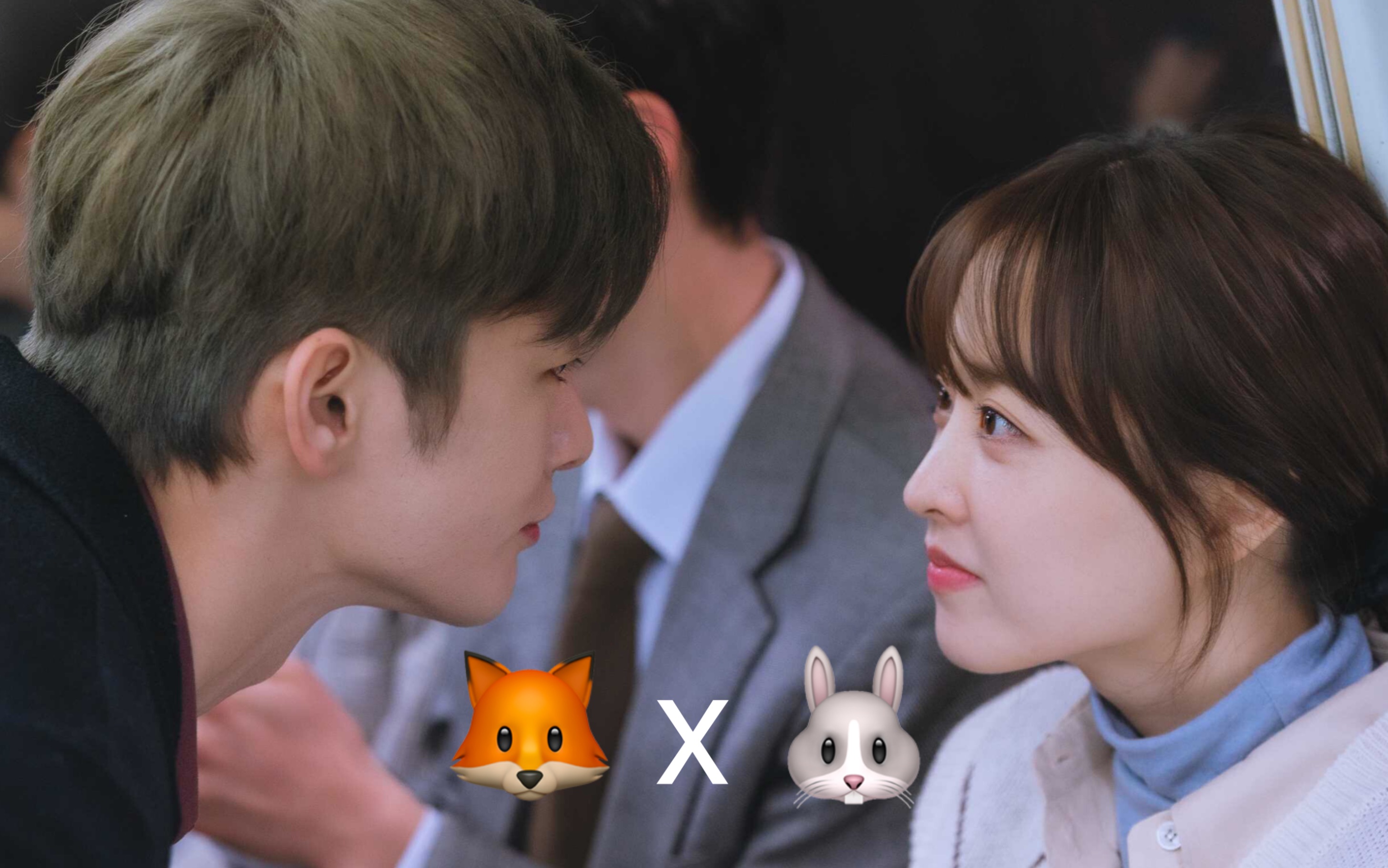 【徐仁国x朴宝英】《某天灭亡走进了我的家门》— 你不知道其实你很爱