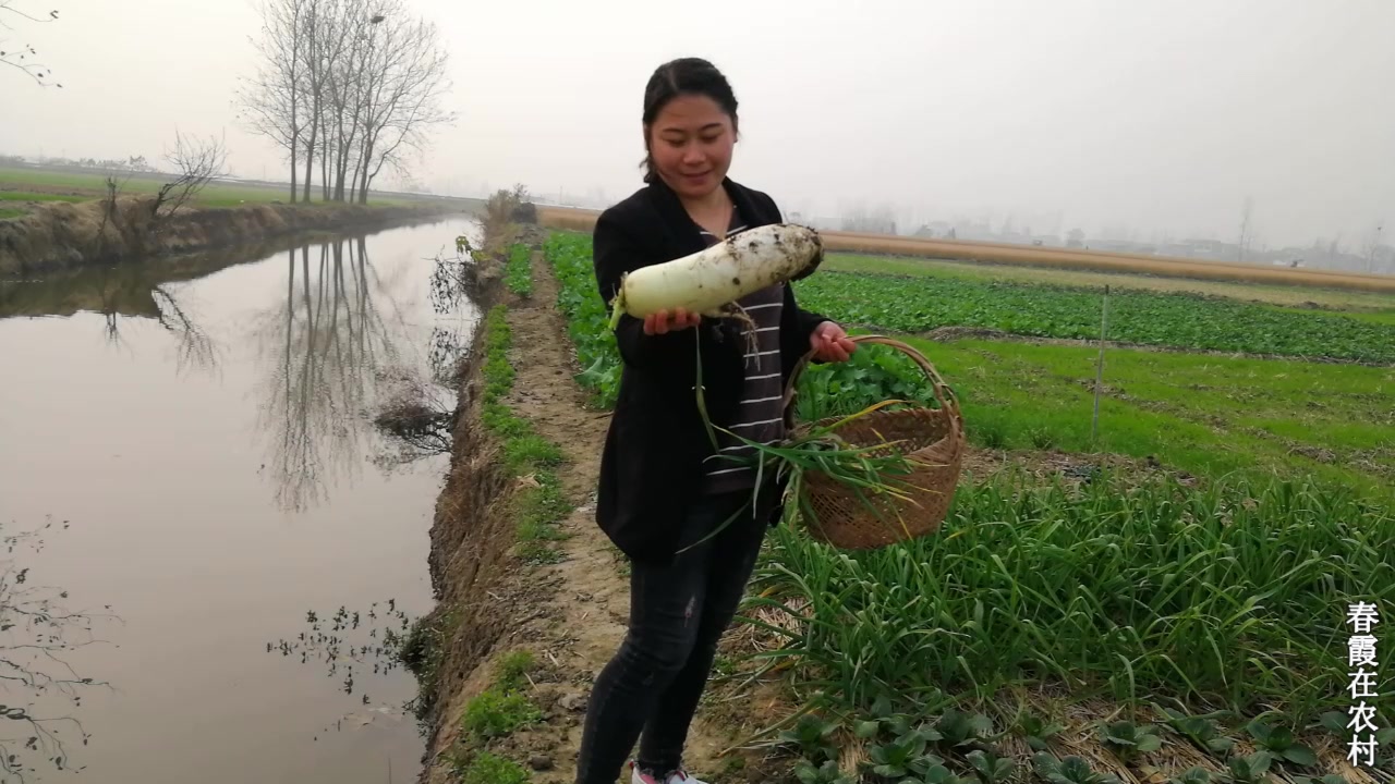 春霞在农村