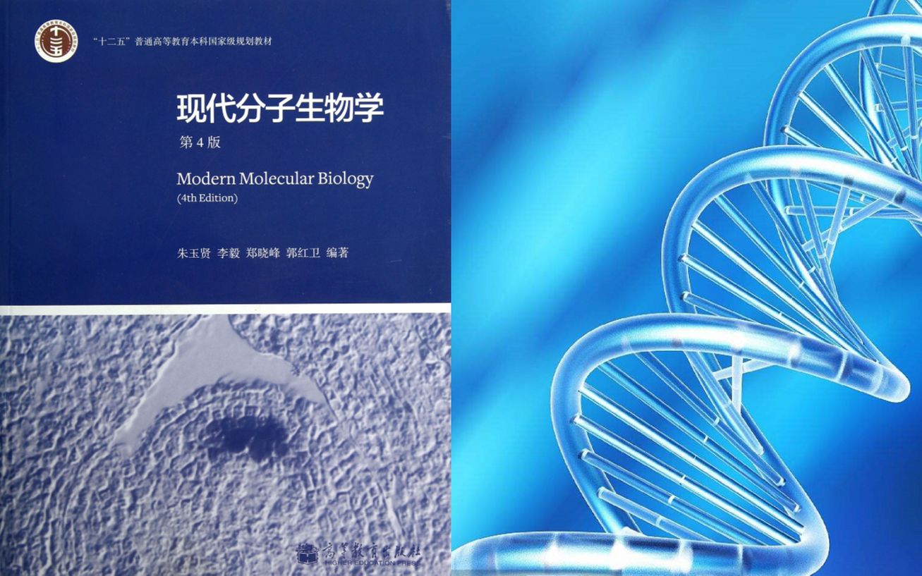 [图][分子生物学]第四章《蛋白质翻译》