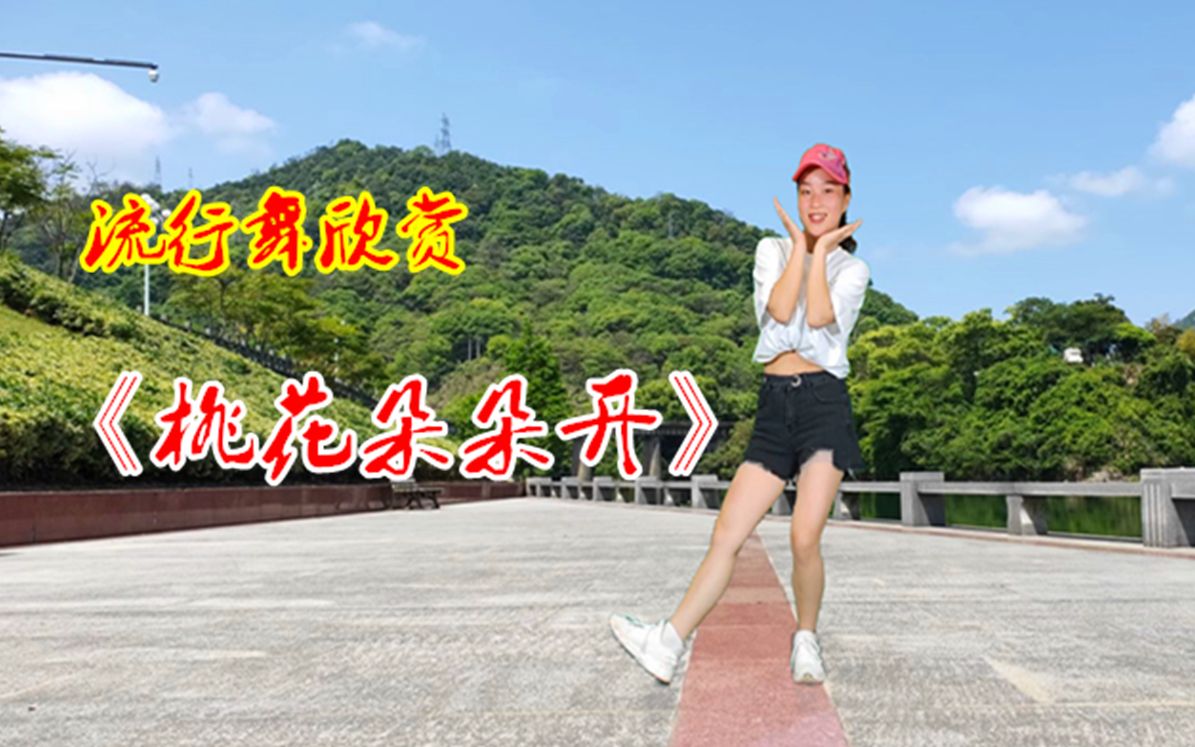 歌曲桃花朵朵开(歌曲桃花朵朵开歌词)