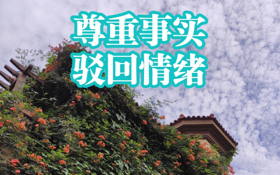 尊重事实驳回情绪