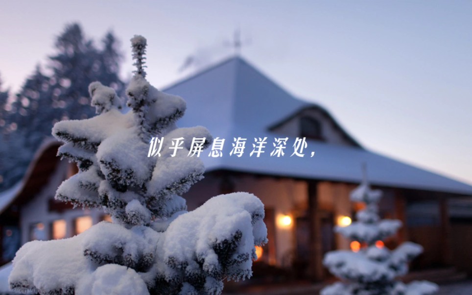 [图]当你走向空旷的雪野，突然寻到了世界的尺度：自己的脚步。