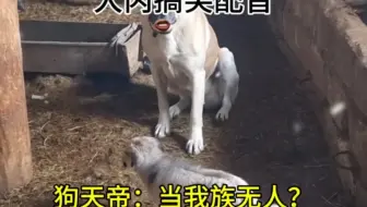 狗天帝：当我族无人？