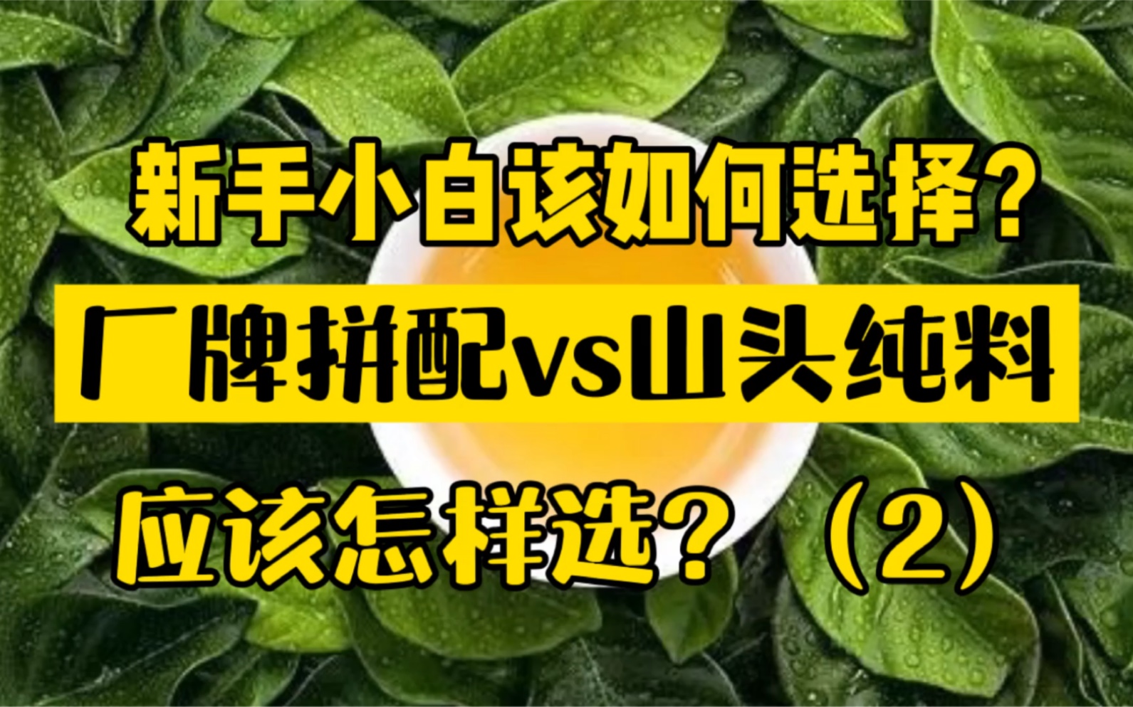 (二)新手买家应该买什么普洱茶?山头纯料和知名大厂的厂牌茶,应该怎么选?优缺点对比和分析 找到真正适合自己的茶 小白必看 科普知识分享哔哩哔...