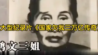 大型纪录片《政府欠我三万亿传奇》持续播出