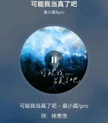 可能我当真了吧袁小葳/pro哔哩哔哩bilibili