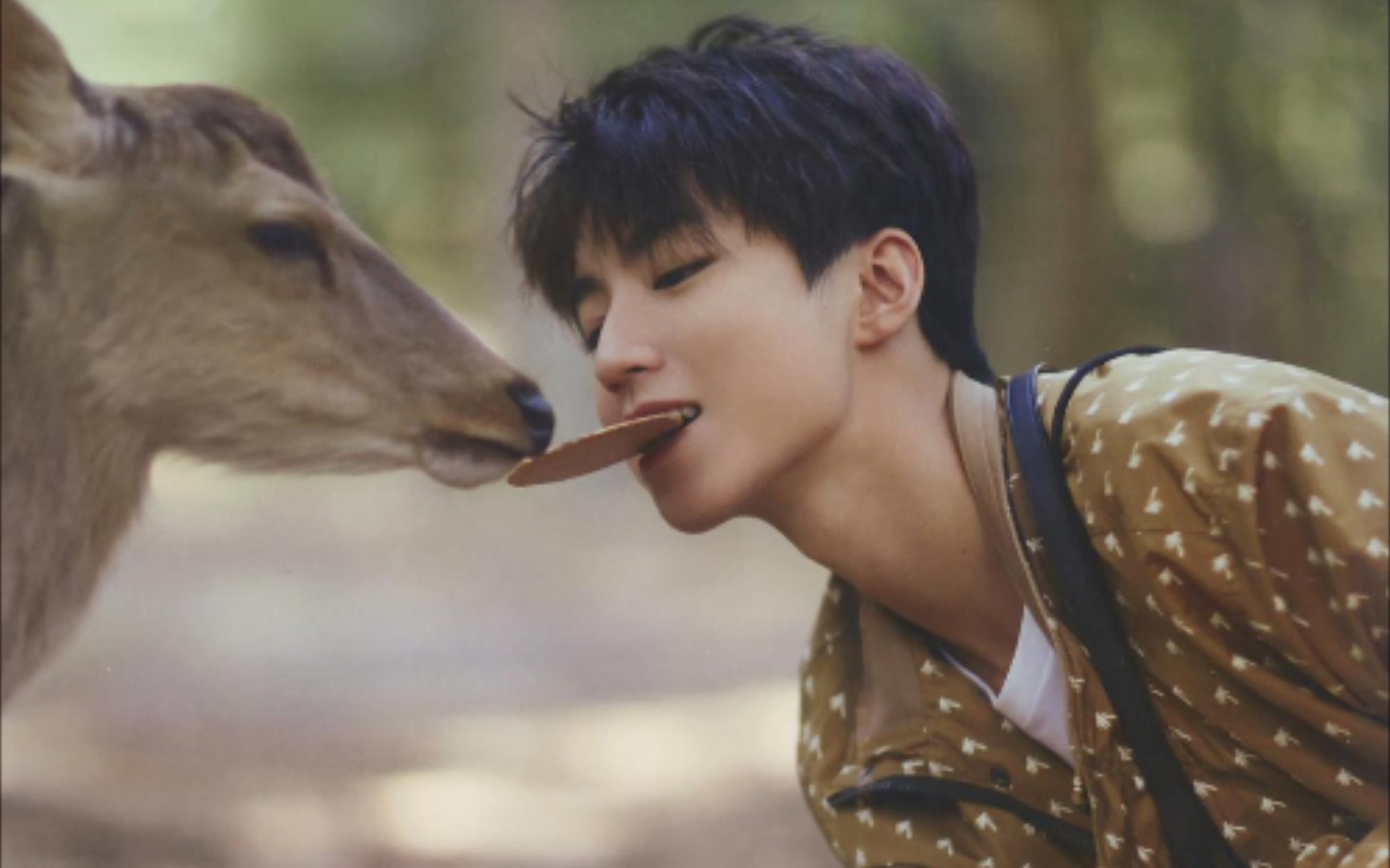 摄影师王俊凯的绿州作品_哔哩哔哩_bilibili