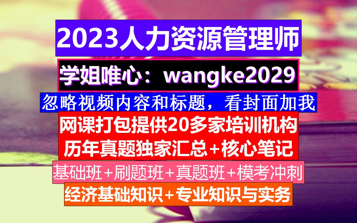 人力资源管理师.国际人力资源管理现状,人力资源管理师证书哔哩哔哩bilibili