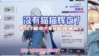 Download Video: 【尘白禁区】抽不到猫猫辉夜？5分钟带你了解四个平民超强辅助！