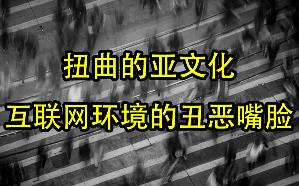 十几年前《丑陋的中国人》预言了当下的互联网环境.哔哩哔哩bilibili