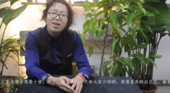 白兰花 芊姿彩鑫园景专卖店 哔哩哔哩 つロ干杯 Bilibili