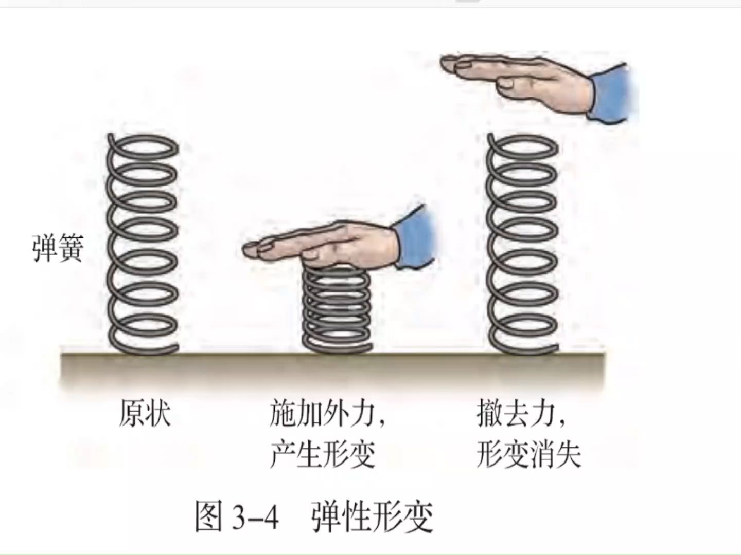 第一节 生活中的力——弹力