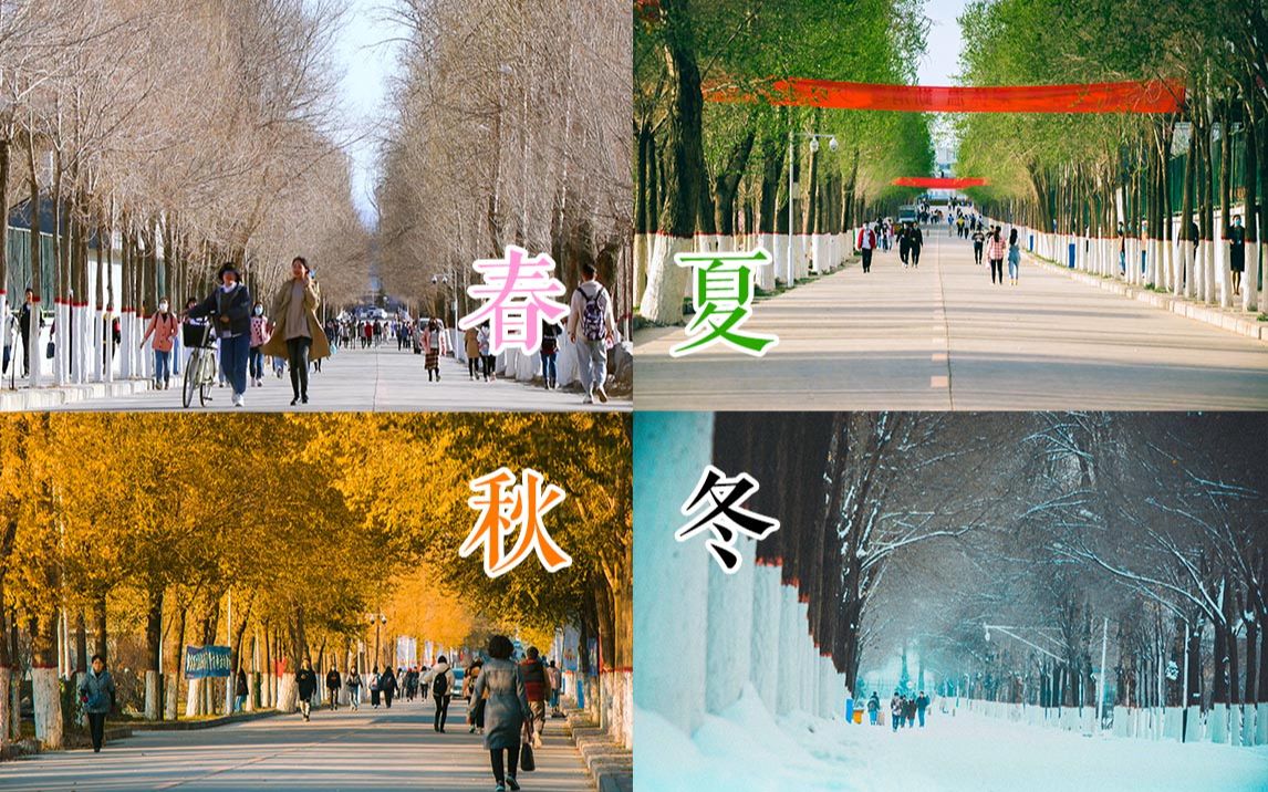 带你看青海大学的春夏秋冬四季变化