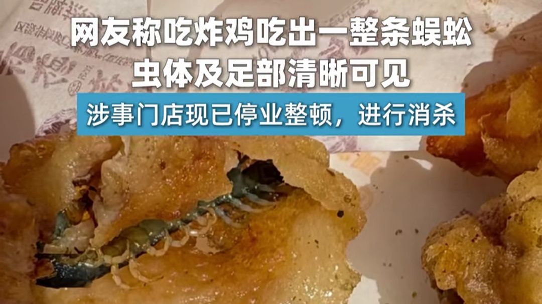 10月7日，江苏淮安。有网友称，在当地一家炸鸡店购买炸鸡后，发现食物中疑似夹有一条蜈蚣。异物被包裹在炸物中，虫体及足部清晰可见。涉事门店