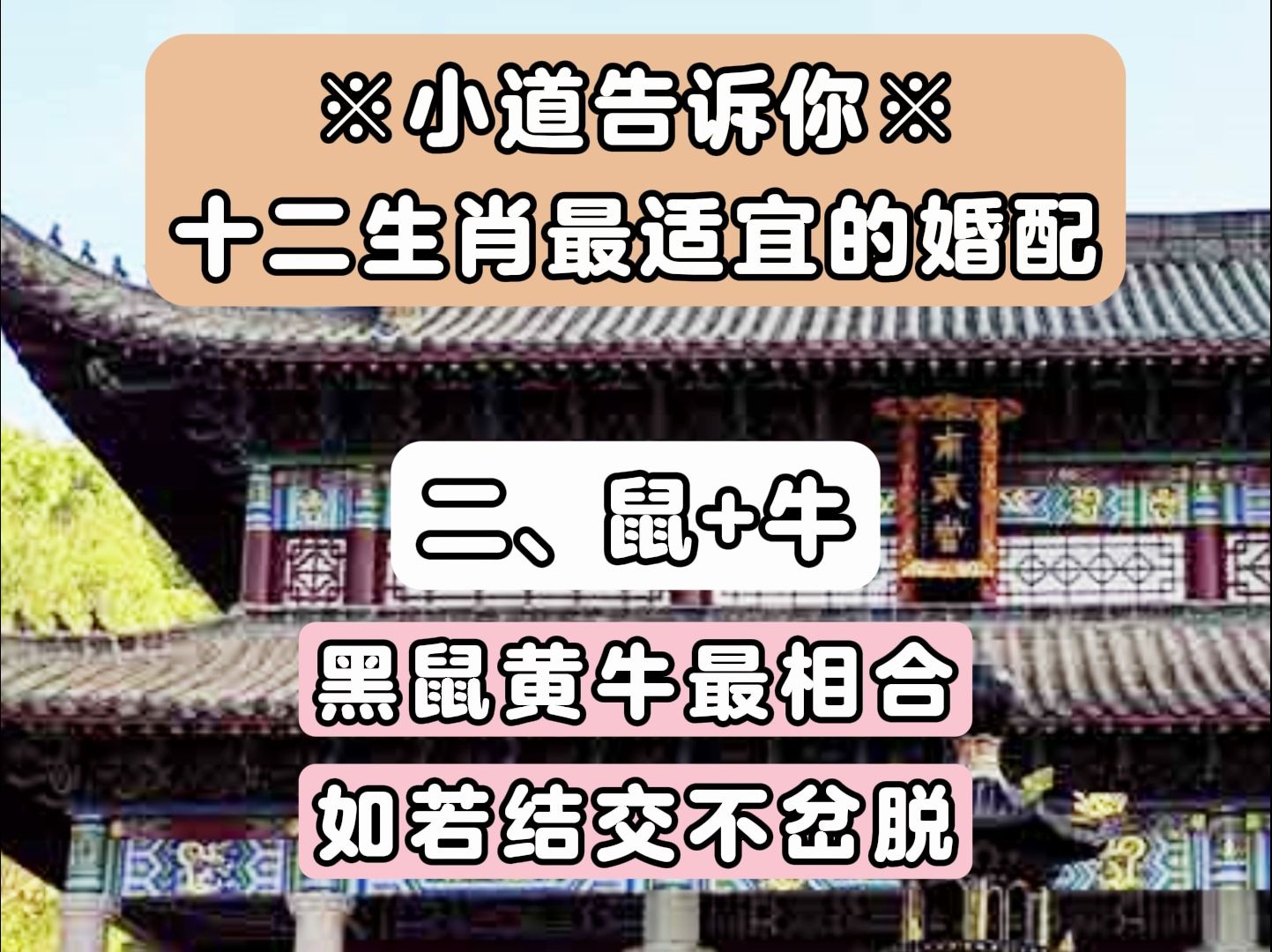 【猫meme】玄学知识之十二生肖最适宜的婚配.哔哩哔哩bilibili