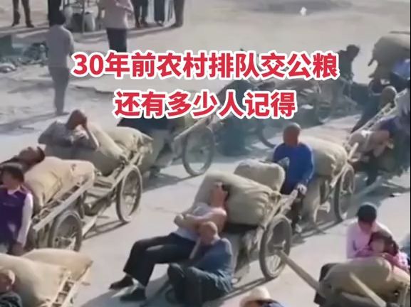 曾记否 30年前交公粮的场景,几代人的回忆啊哔哩哔哩bilibili