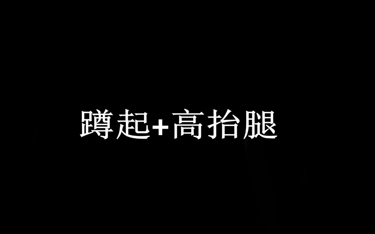 拿去做体育网课作业【蹲起+高抬腿】哔哩哔哩bilibili