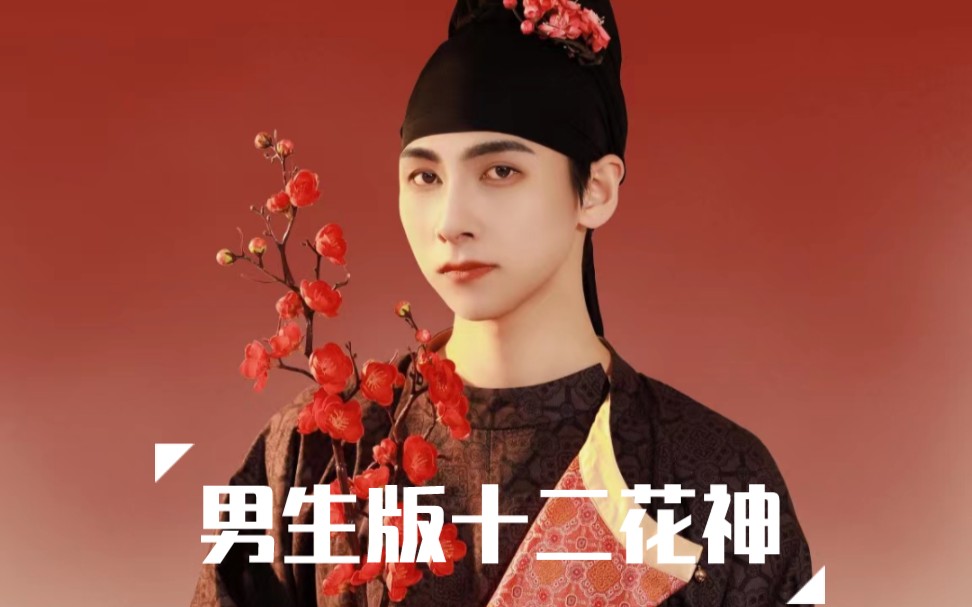 男生十二花神创作之梅花